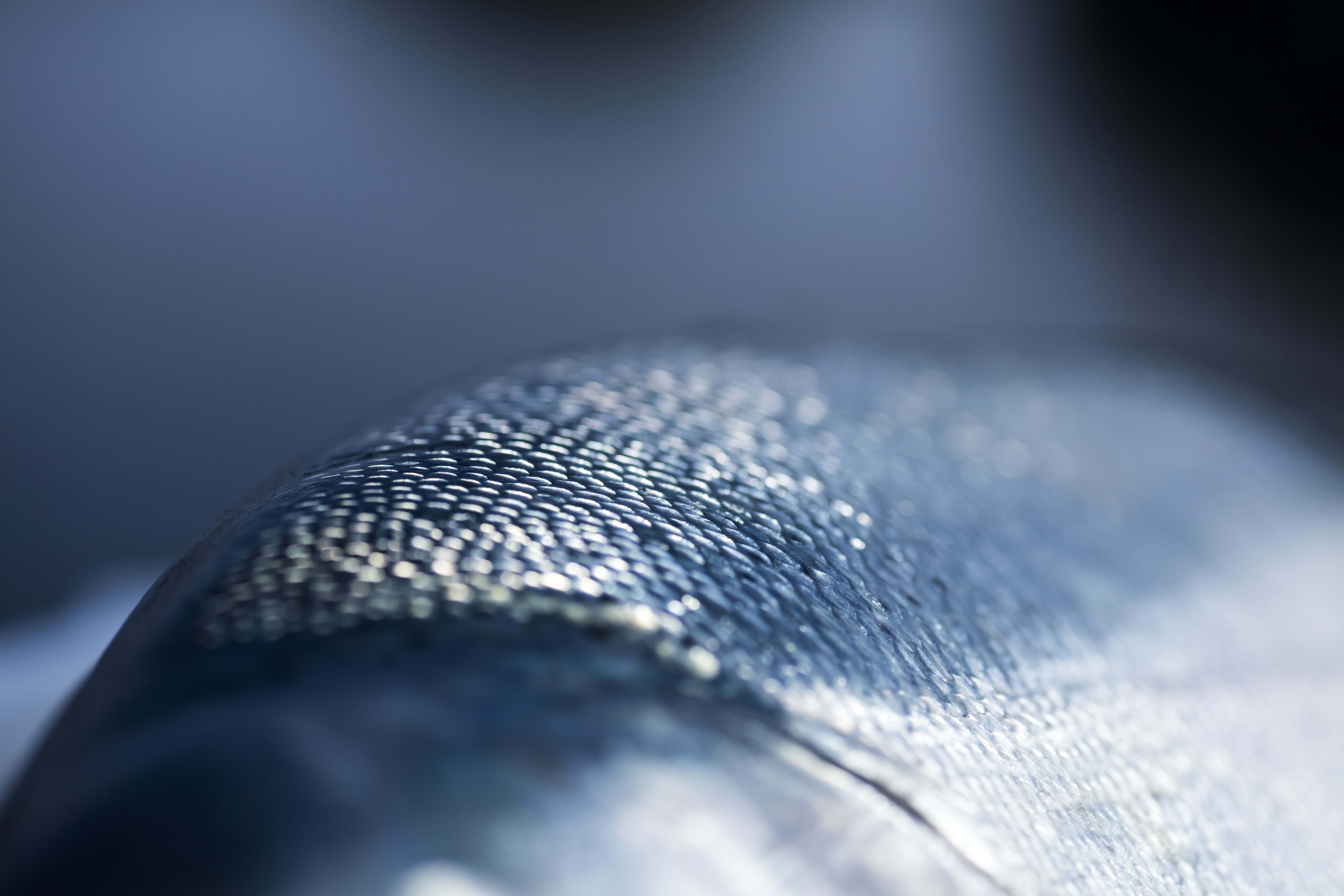 En laks med fokus på skinnet