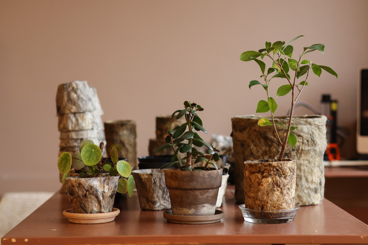 Wooolley potter med planter i