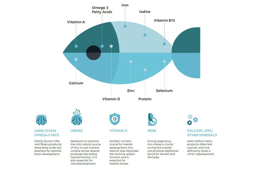 Illustration showing why seafood is healthy