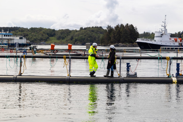 To personer ute på merdkanten