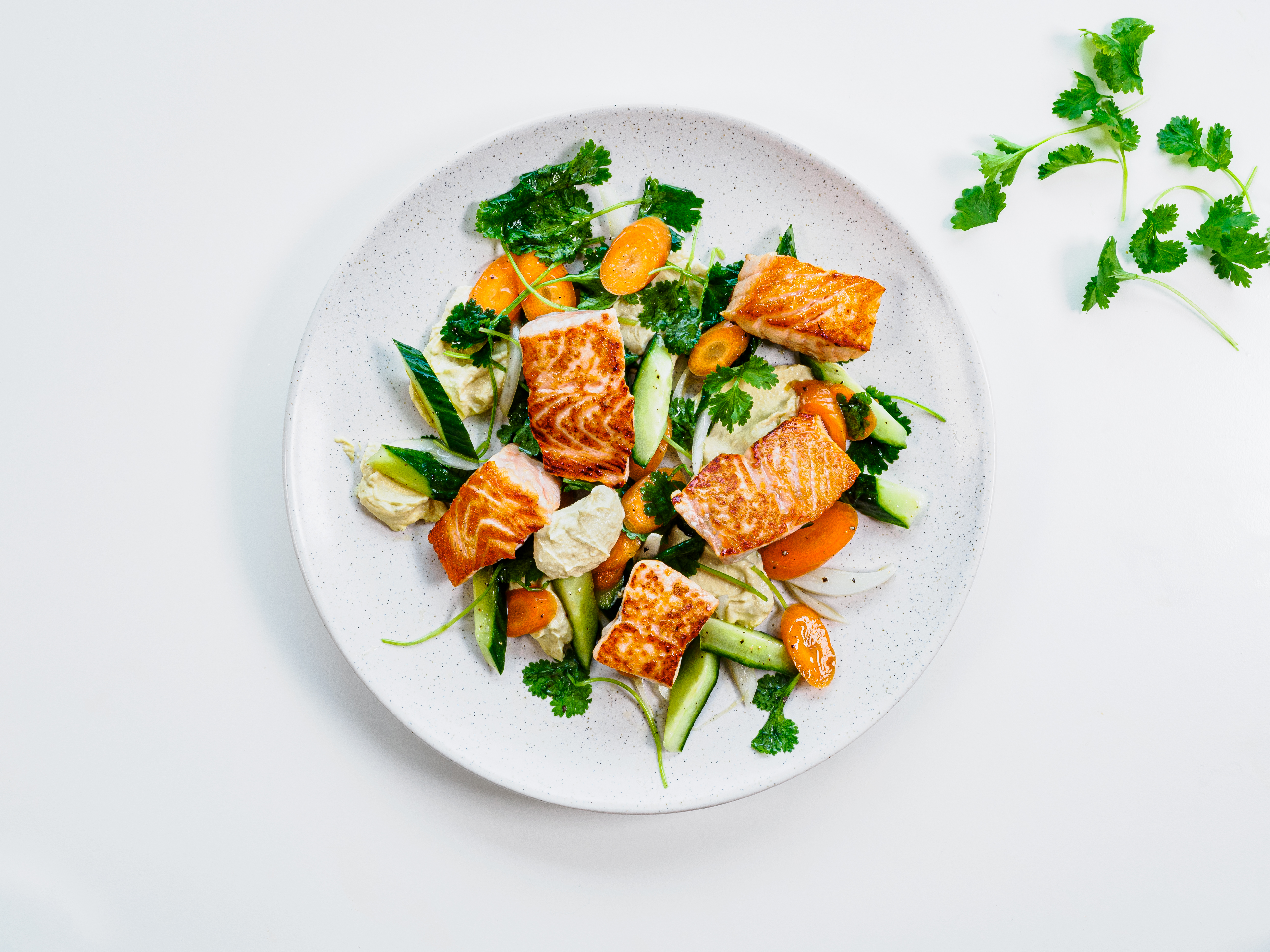 Tallerken med stekt ørret med frisk sala og hummus